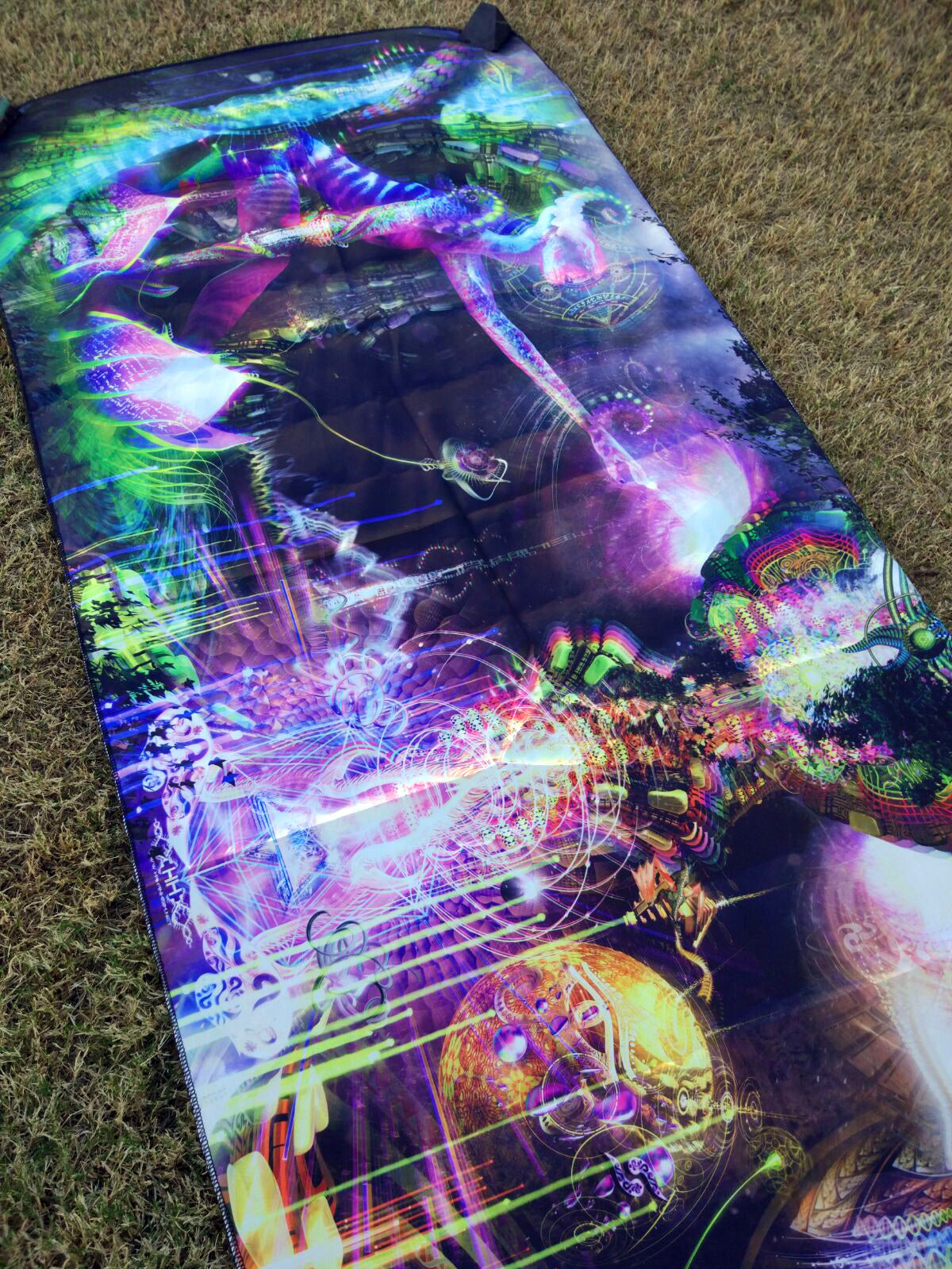 Lycra Tapestry / Backdrop of "Sacred Symbiosis"