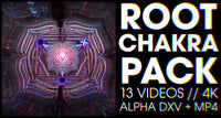 ROOT - Chakra 4K Loop Pack