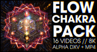 FLOW - Chakra 8K Loop Pack