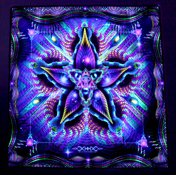 UV Active NEON Lycra Tapestry / Backdrop