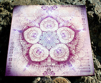 "Indra's Net" Stretched Canvas Print