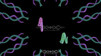 Snake Flow Loop Pack