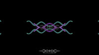 Snake Flow Loop Pack