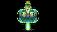 Trippy Vibrations Loop Pack