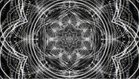 Sacred Geometry Loop Pack