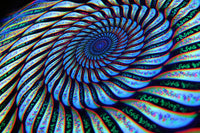 NEON Lycra Tapestry / Backdrop - Phonetic Vortex