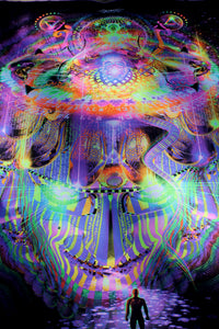 Neon UV Active Lycra Tapestry / Backdrop of Reclaiming the Throne