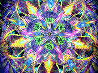UV Active NEON Lycra Tapestry / Backdrop - Sylvan Perception