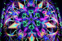 UV Active NEON Lycra Tapestry / Backdrop - Sylvan Perception