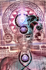 Large Lycra Tapestry / Backdrop of Toroidal Tantra