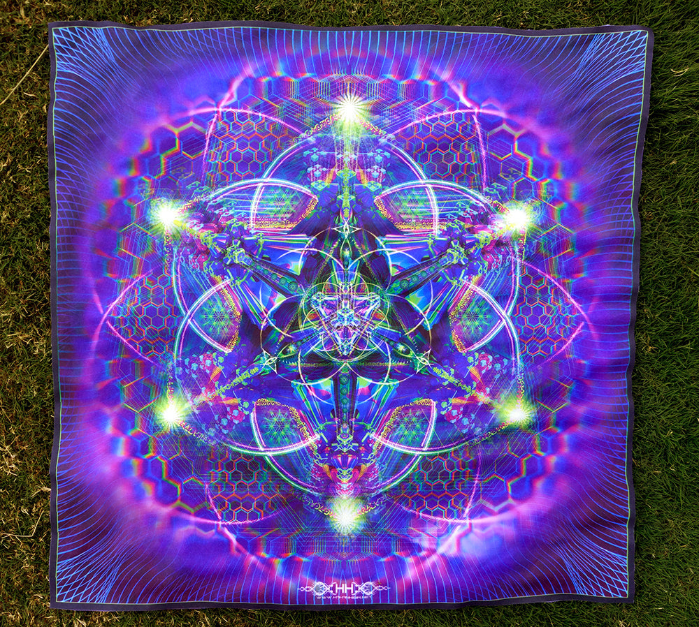 Lycra Tapestry / Backdrop of Trance Nectar