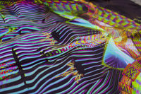 UV Active NEON Canvas Backdrop - Rubix Harlequin 44 x 44 cm
