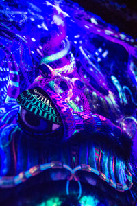 UV Active NEON Canvas Backdrop - Copelandian Paradigm