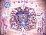 Bio-Energetic Vortexes No:1 - Root - Art Print (Root Chakra)