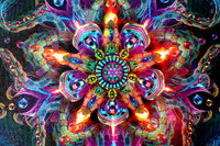 "Asteroidea Venusia" Stretched Canvas Print