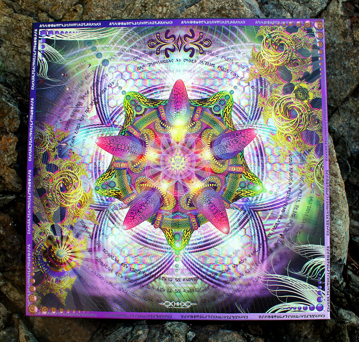 Stretched Canvas Print of "Venusian Flora"