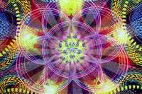 Stretched Canvas Print of "Venusian Flora"