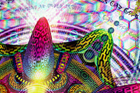 Stretched Canvas Print of "Venusian Flora"