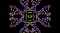 DNA Matrix Loop Pack