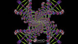 DNA Matrix Loop Pack