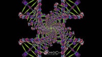 DNA Matrix Loop Pack