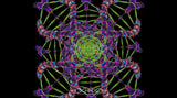 DNA Matrix Loop Pack