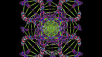 DNA Matrix Loop Pack
