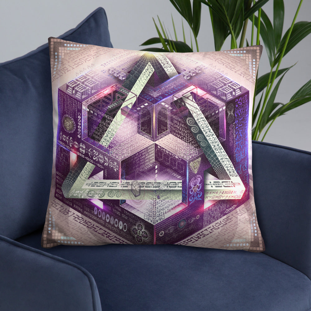 Translinguistic Equation Pillow